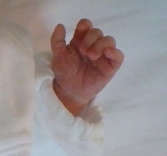 新生児の小さな手