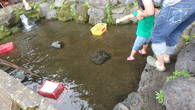 口コミ検証 富士見つりぼりのニジマスつかみどり体験を徹底レビュー 山梨 ちょこままチャンネル