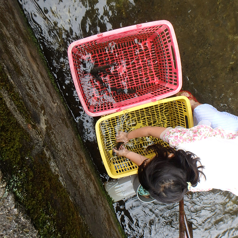 口コミ検証 富士見つりぼりのニジマスつかみどり体験を徹底レビュー 山梨 ちょこままチャンネル
