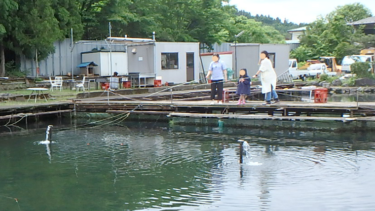 口コミ検証 富士見つりぼりのニジマスつかみどり体験を徹底レビュー 山梨 ちょこままチャンネル
