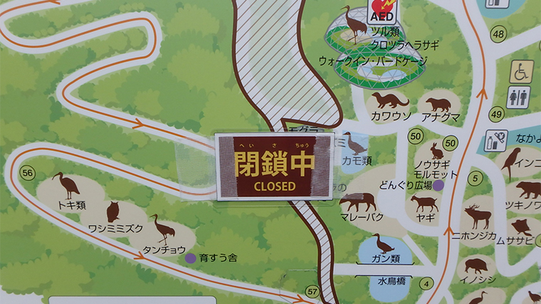 再開園した多摩動物公園に行ってみた 公式ツイッターからコロナ後混雑回避日時を予想 ちょこままチャンネル