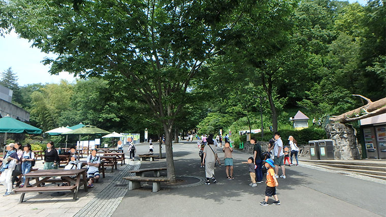 多摩動物公園(コロナ後）開園直後は比較的空いている。園内入ってすぐの画像