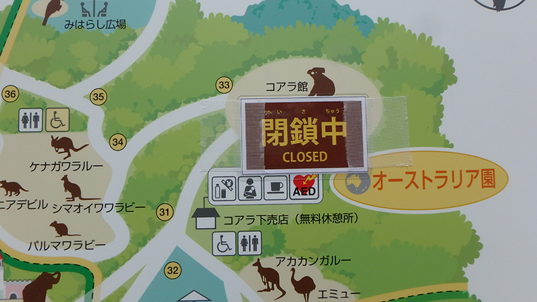 多摩動物公園のコアラ館は閉鎖中（展示休止中）