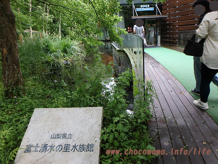 森の中の水族館。（山梨県の富士湧水の里水族館）の入口
