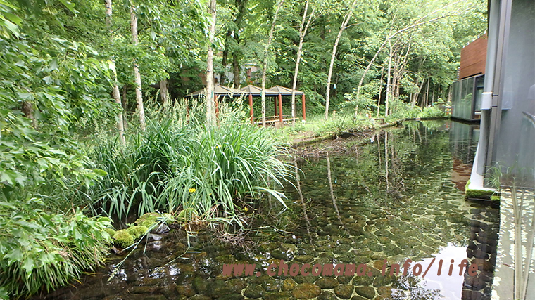 森の中の水族館。（山梨県の富士湧水の里水族館）前の池