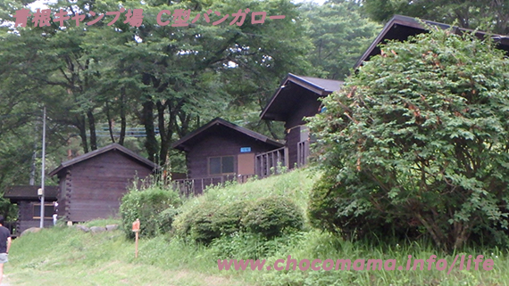緑の休暇村青根キャンプ場のC型バンガローの写真（神奈川県）