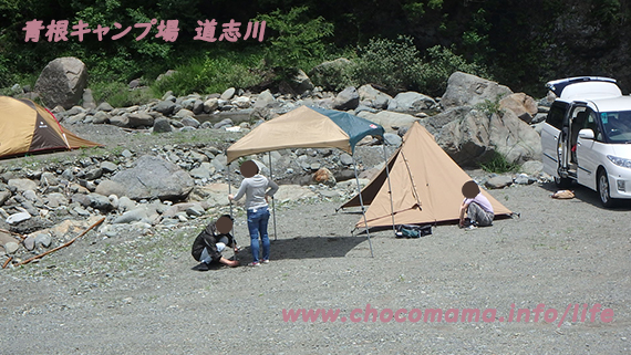 緑の休暇村青根キャンプ場のフリースペースにテントやタープを設置した写真（神奈川県）