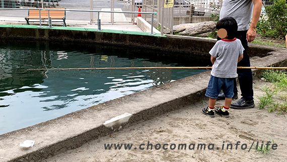 奥多摩フィッシングセンターの釣り堀で幼児がニジマス釣りに挑戦（釣り堀口コミ体験談）