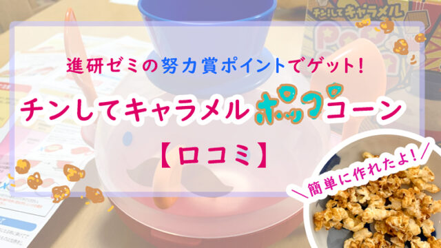 わが家がチャレンジタッチを継続した７つの理由を徹底解説 継続手続きは ちょこままチャンネル