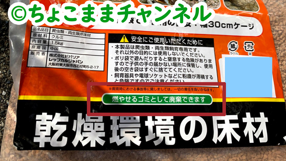 カナヘビの飼い方 小学生の娘と1年間試行錯誤して分かったこと ちょこままチャンネル